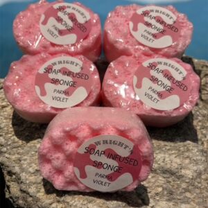 Travel Soap Sponge