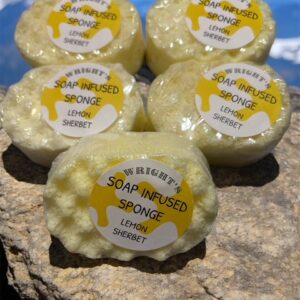 Travel Soap Sponge
